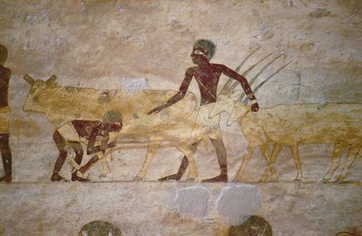 Processie met vee en gazellen, detail van een grafmuurschildering, Egyptisch, Oude tot Middenrijk (beschilderd kalksteen) door Unknown