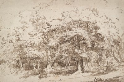 Studie van bomen door Unknown
