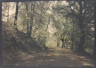 Zonder Titel door Unknown