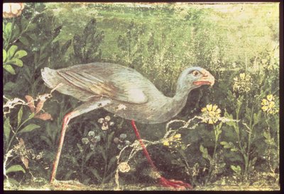 Muurschildering van een Sultan kip in een tuin, Pompeii door Unknown