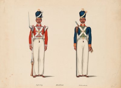 10e Madras Inheemse Infanterie en de Madras Artillerie door Unknown artist