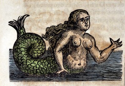 Een Sirene, Legendarisch Persoon - Gravure uit een werk van Athanasius Kircher (1601 - 1680), Jezuïet, Oriëntalist en Duitse geleerde door Unknown artist
