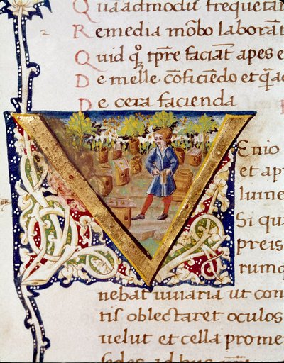 Een imker en zijn bijenkorven (miniatuur) door Unknown artist