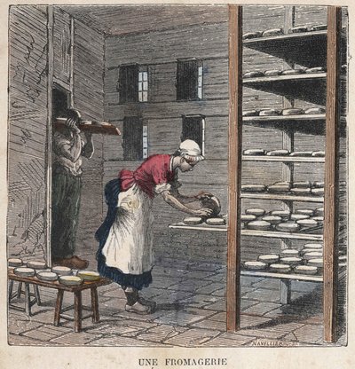 Een kaasfabriek. 19e-eeuwse illustratie. Bianchetti Collectie door Unknown artist