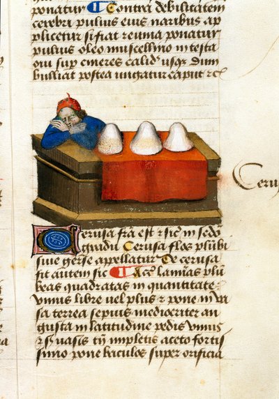 Een hert handelaar, gebruikt voor cosmetica. Beschrijving van geneeskrachtige planten en hoe ze te bereiden. Manuscript pagina 