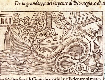 Een gigantische zeeslang valt een schip aan en verslaat de bemanning. Gravure door Olaus Magnus (1490 - 1557), Zweedse geestelijke en geograaf, 