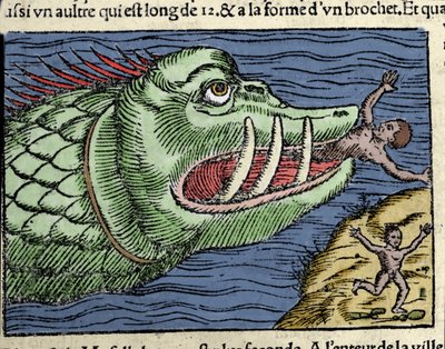 Een zeemonster slaat een zwemmer nabij de kust van Noorwegen. Gravure door Olaus Magnus (1490 - 1557), Zweedse geestelijke en geograaf, “Historia de Gentis Septentrionalibus”, Venetië door Unknown artist