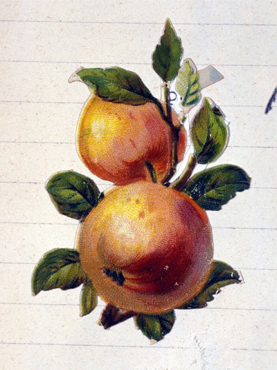 Een perzik door Unknown artist