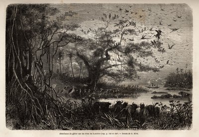 Overvloed aan wild aan de oevers van de Zambezi door Unknown artist