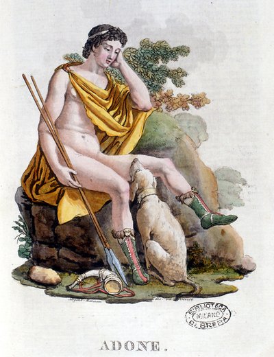 Adonis. Griekse god van Fenicische oorsprong. 19e-eeuwse gravure. Biblioteca nazionale Braidense. Milaan door Unknown artist