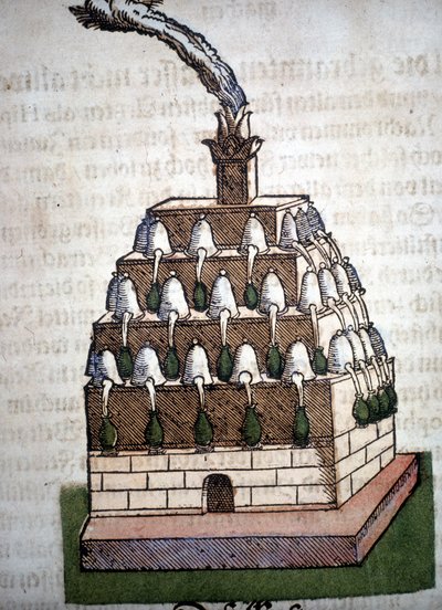 Alchemie: de Athanor Oven uit een boek door Pietro Andrea Mattioli. Frankfurt door Unknown artist