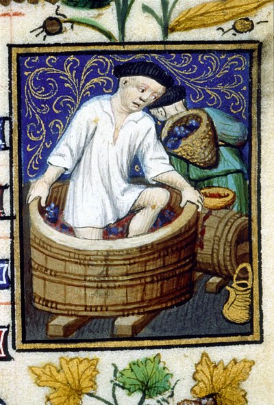 Allegorische voorstelling van september. Oogst, druiven plukken. Miniatuur van een 14e-eeuws manuscript door Unknown artist