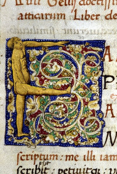 Alfabet: miniatuurletter F door Unknown artist