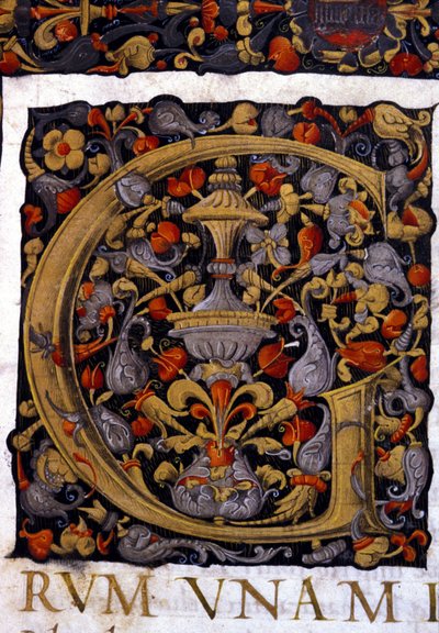 Alfabet: miniatuurletter G door Unknown artist