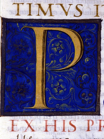 Alfabet: miniatuurletter P door Unknown artist