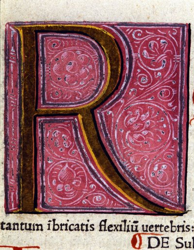 Alfabet: miniatuurletter R door Unknown artist