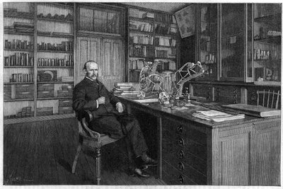 Alphonse Milne Edwards door Unknown artist