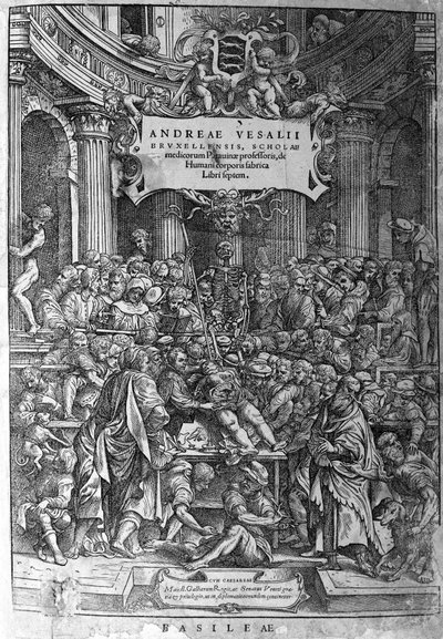 Anatomische kamer. Frontispice van het werk 