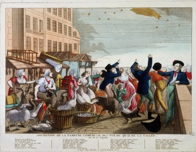 Verschijning van de beroemde komeet (1811) gezien vanaf de Quai de la Vallee in Parijs door Unknown artist