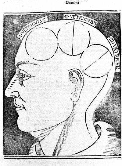 Aristotelis libri IV de coelo et mundo Cum Expositione S.Thomae de Aquino et Cum Additione Petri Alverniae. Dit is het boek van Aristoteles met het commentaar van St. Thomas van Aquino met een aanvullende uitleg door Peter van Alvernia. Venetië, editie van door Unknown artist