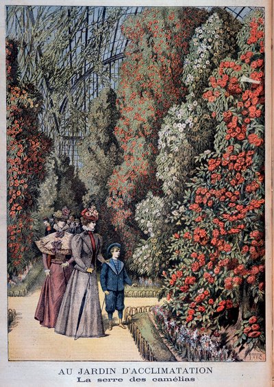 In de acclimatisatietuin: de serre van de camelia
