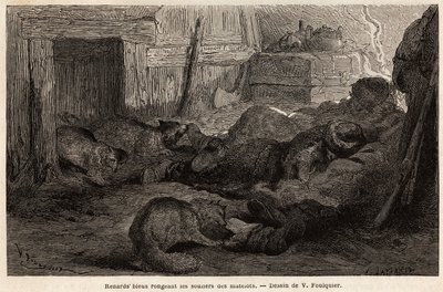 Blauwe vossen knagen aan de schoenen van slapende zeelieden in het toevluchtsoord van het observatiestation, tekening door V.Foulquier, ter illustratie van de Spitzberg door Unknown artist