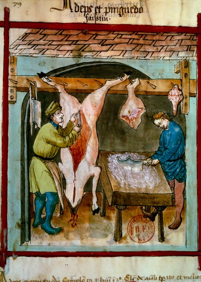 Slagerij: het slachten van een varken. Illustratie uit de melk van geneeskunde en diëtetiek 