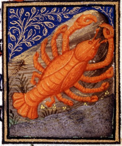 Kreeft. Miniatuur van een horoscoop. 15e-eeuws manuscript. Bibl. Trivulziana, Milaan door Unknown artist