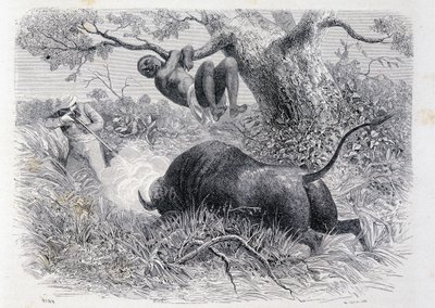 Kapitein Speke jaagt op buffels - in "Tour du Monde" door Unknown artist