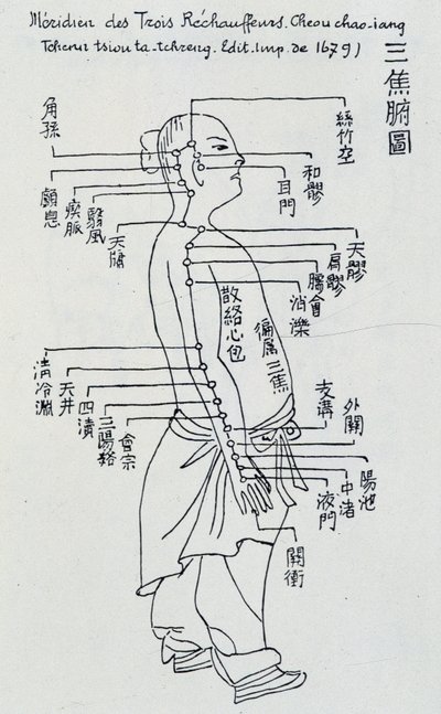 Chinese acupunctuur: de meridiaan van de drie verwarmers door Unknown artist