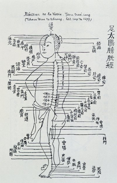Chinese acupunctuur: de meridiaan van de blaas door Unknown artist