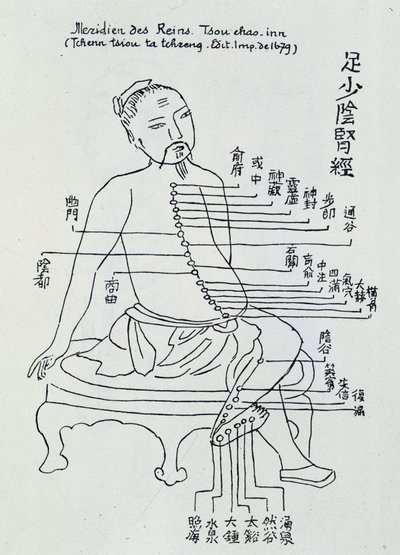 Chinese acupunctuur: de meridiaan van de nieren door Unknown artist