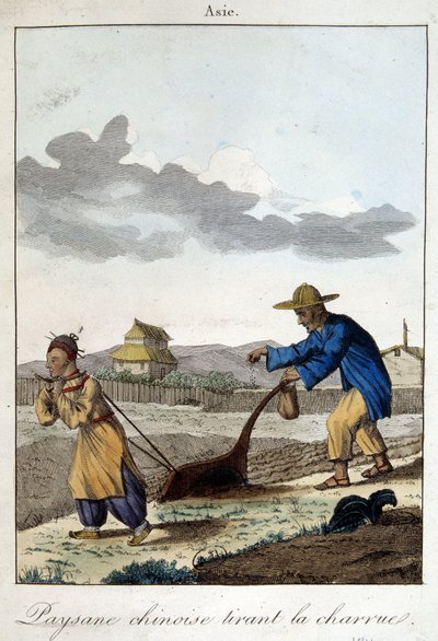 Chinese boer trekt de ploeg. In 