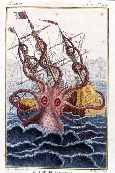 Kolossale octopus (octopus, reuzeninktvis, kraken) valt een schip aan - gravure uit het boek van Pierre Denys-Montfort 