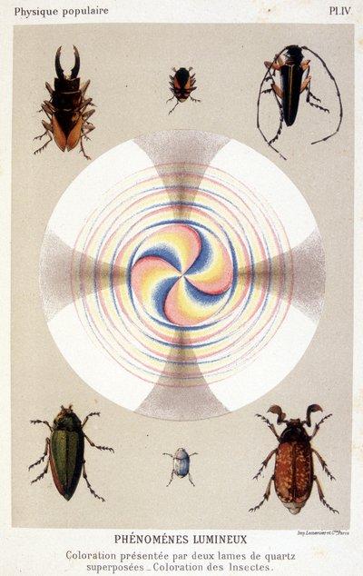 Kleuring gepresenteerd door twee overlappende kwartsbladen, kleurende insecten - in 