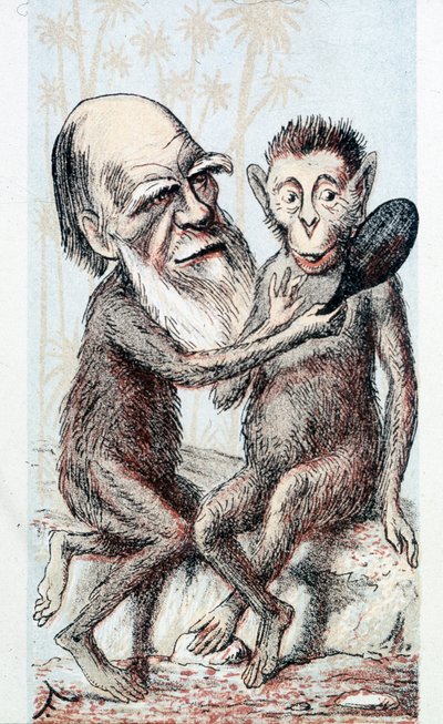 Komische tekening over Darwins theorie - in 