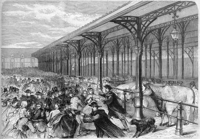 Concours des oxeufs gras op de Marche de la Villette in Parijs. Gravure in 