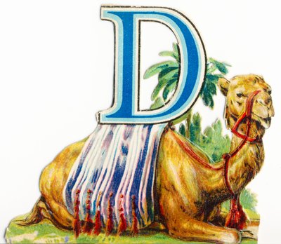 D: Dromedaris door Unknown artist
