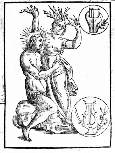Daphne achtervolgd door Apollo wordt getransformeerd in laurier (gravure in Natalis Comitis 