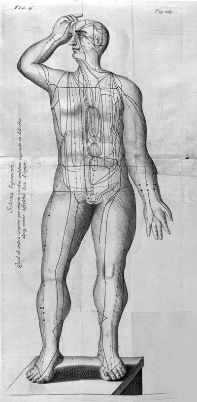 De Acupunctura door W. Ten Rhijne. Londen 1683. Eerste westerse tekst over acupunctuur door Unknown artist