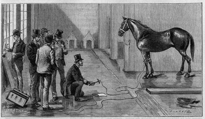 Dood door elektriciteit: een paard gedood door elektriciteit tijdens een experiment uitgevoerd in het laboratorium van Edison, Orange (Verenigde Staten). Gravure in 