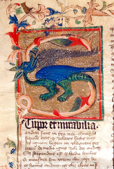 Draak Gedecoreerde Initiaal (detail van een 14e-eeuws manuscript) door Unknown artist
