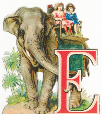 E: Olifant door Unknown artist