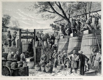 Gravure uit 1876 die de wijnbouw in Californië in de 19e eeuw voorstelt. door Unknown artist