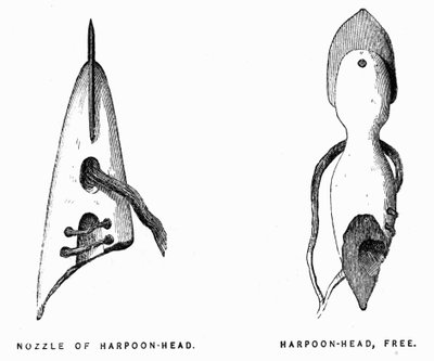 Eskimo Harpoenen - Elisha Kent Kane, Arctische Verkenning in de jaren 1853-1855, Philadelphia, Childs en Peterson door Unknown artist