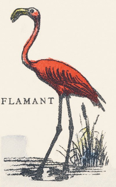 F: Flamingo door Unknown artist