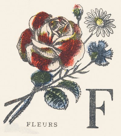 F: bloemen door Unknown artist