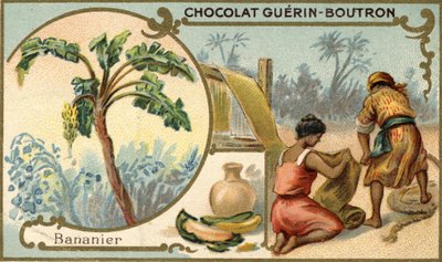 Stof gemaakt met de vezel van bananenschillen. Chromolithografie, verpakking van Guérin Boutron chocolade. door Unknown artist