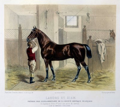 Beroemde renpaarden in 