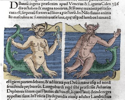 Fantastische wezens: een watersalamander en een sirene gezien in de Nijl (gravure uit 